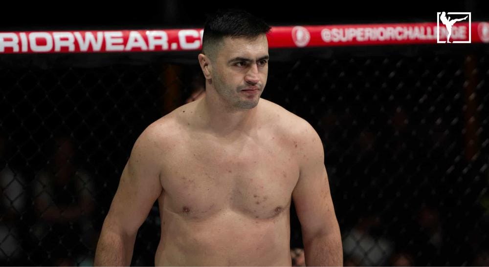 Nermin Hajdarpasic Superior Frontkick.online