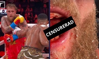 Paul vs Joshua bruten käke Frontkick.online (1)