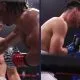 Resultat från Zuffa Boxing Frontkick.online