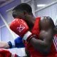 Elwin Belezika boxning Frontkick.online