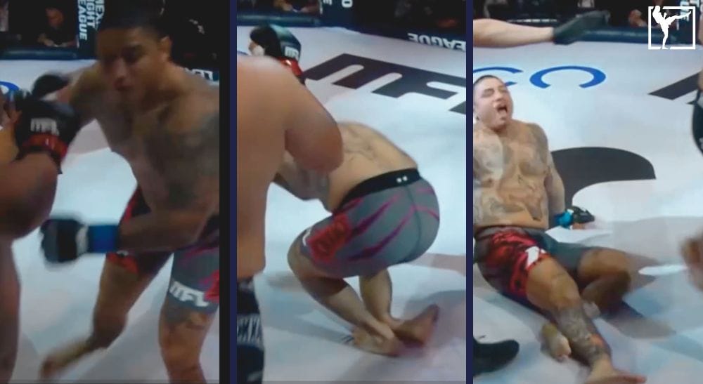 Mexico Fight League 3 Frontkick.online