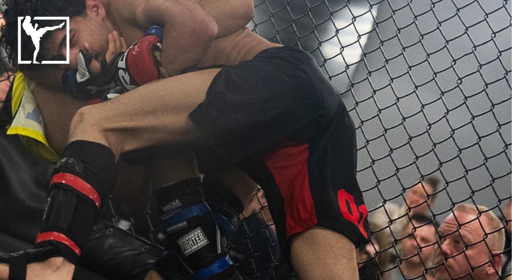 Nordiska mästerskapen i MMA Frontkick.online