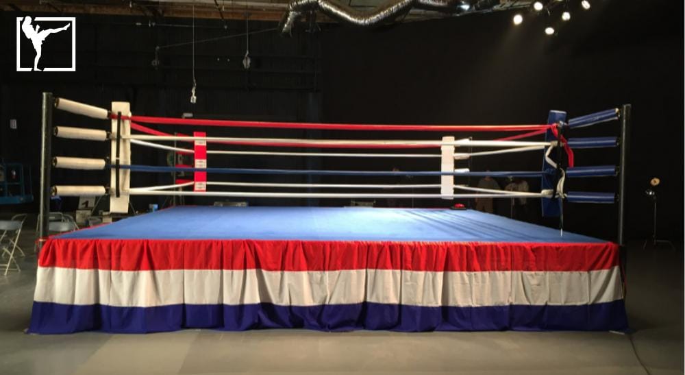 Svensk boxning Frontkick.online (1)