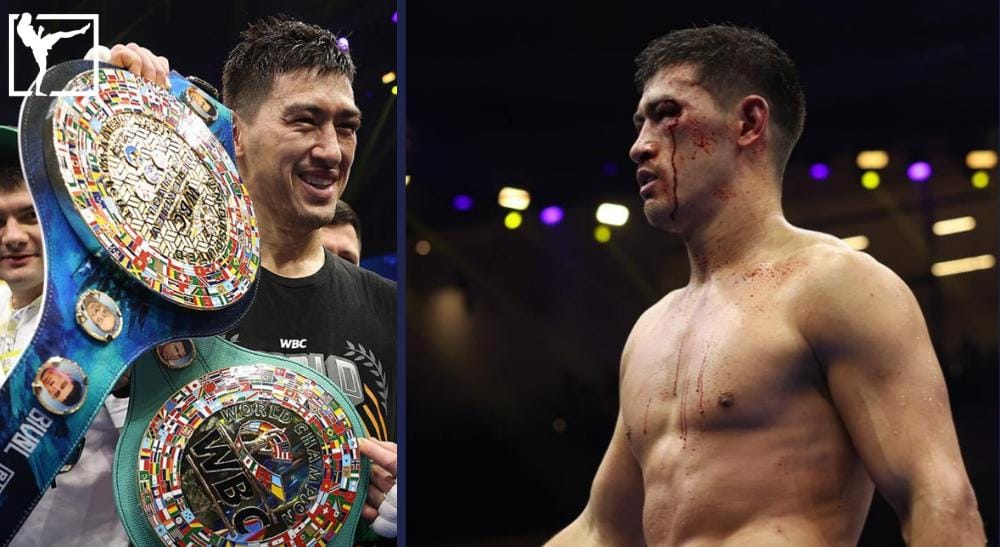 Dmitry Bivol boxning Frontkick.online