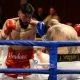 Erick Mendoza boxning Frontkick.online (1)