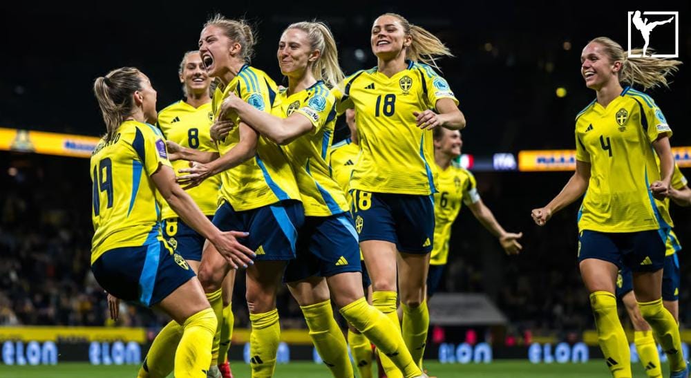 Sverige-Danmark VM-kval Frontkick.online (1)