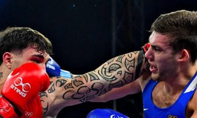 World Boxing Frontkick.online