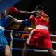 Alvin Warukaga Stockholm Fight Night Frontkick.online (1)