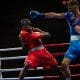 Alvin Warukaga Stockholm Fight Night Frontkick.online