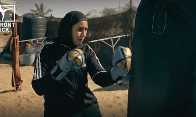 Boxare i Gaza Frontkick.online