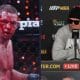 Nate Diaz MMA framtid Frontkick.online