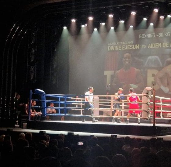 The Blitz Allstyle Frontkick.online