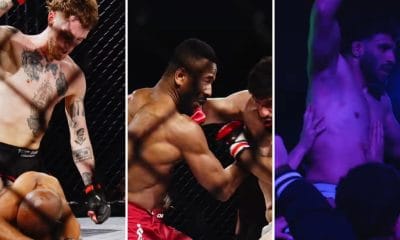 Wolf Fight Promotion 14 MMA Frontkick.online