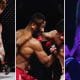 Wolf Fight Promotion 14 MMA Frontkick.online