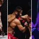 Wolf Fight Promotion 14 MMA Frontkick.online