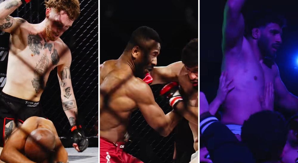 Wolf Fight Promotion 14 MMA Frontkick.online