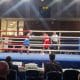 boxningslandskampen i Stockholm Stockholm Fight Night Frontkick.online