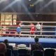boxningslandskampen i Stockholm Stockholm Fight Night Frontkick.online