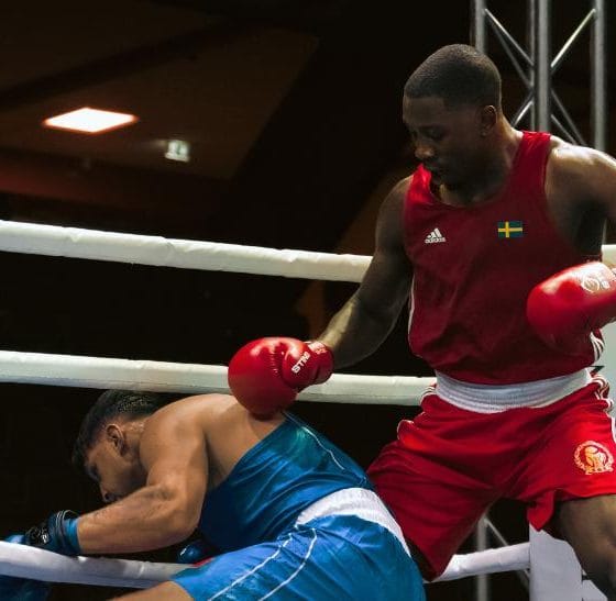 Elwin Belezika boxing Frontkick