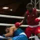 Elwin Belezika boxing Frontkick