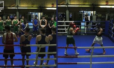 Hammarby boxning Frontkick