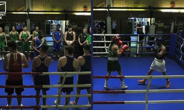 Hammarby boxning Frontkick