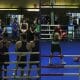 Hammarby boxning Frontkick