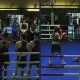 Hammarby boxning Frontkick