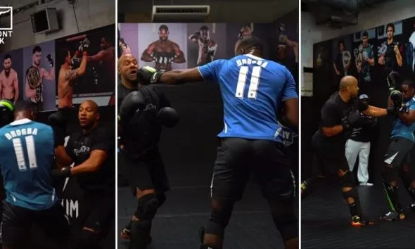 Pereira vs Gane MMA FRONTKICK