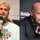 MVP Jake Paul Dana White Frontkick
