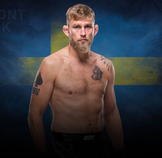 Frontkick Alexander Gustafsson Glover Teixeira boxning