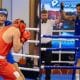 Moses Bazzi boxning Frontkick